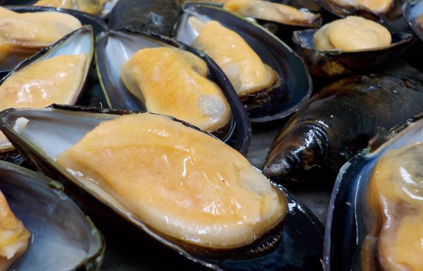 COOKED HALF SHELL MUSSEL